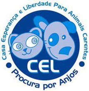 Projeto CEL: CENTENAS de animais abandonados precisam de você!