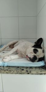 Campanha para arrecadar o dinheiro da cirurgia de hernia de disco para o Jorge voltar a andar. 