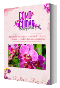 Como Cuidar De Orquidéa