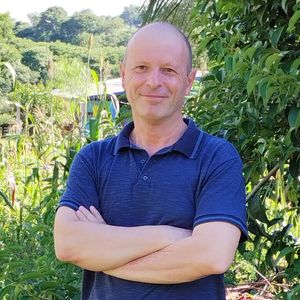 Lançamento de livros 