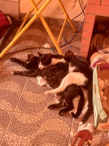 Ajudem a dar conforto a quem nos dá amor