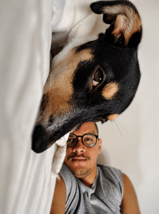 Ajude o Pitoco nos cuidados da dermatite !🐾❤️