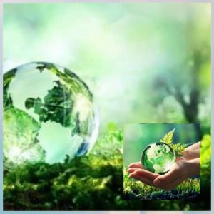 Meio Ambiente - Especialização Fora do Brasil