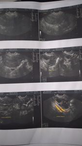 A união faz a força  deus voz abençoe a cada um 