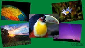 V.E.Z. - ENERGIA ECOLÓGICA PARA TODOS