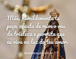 Vaquinha pró sobrevivência 