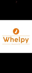 Whelpy Box - Nos ajude a realizar nosso sonho!!