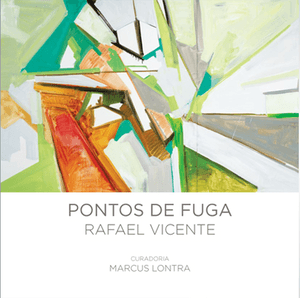 CATÁLOGO EXPOSIÇÃO RAFAEL VICENTE NO MAC NITERÓI