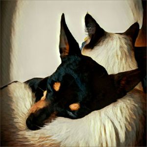 Doar é um ato de Amor