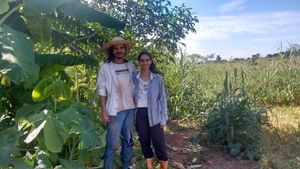 Reforesting the world