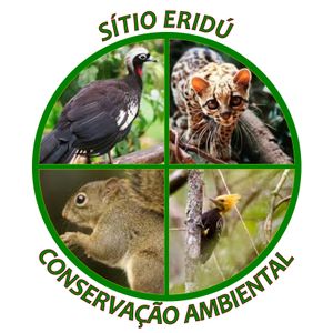 Colabore com as Atividades de  Conservação de Área de Mata Atlântica do Sítio Eridú
