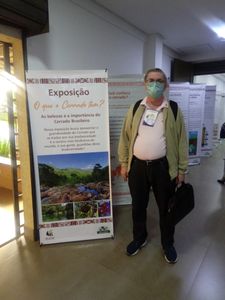 Campanha para cirurgia 