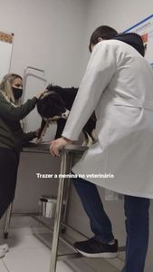 Cirurgia da Collin (Nega)