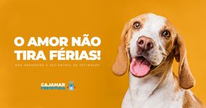 nunca abandone o seu amigo