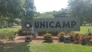 Essência solidária