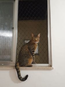 Precisamos da sua ajuda!