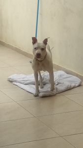 Ajuda para os custos com a Ana