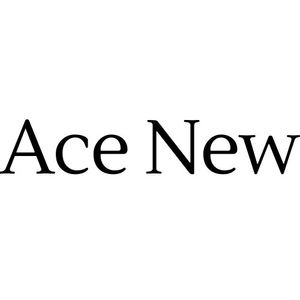 Ace New e-commerce inovar na inovação!