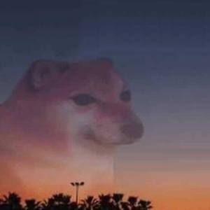 Jovem com transtorno Peniano