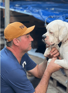 Os Pitbulls precisam ainda mais de todos nós. SOS RS