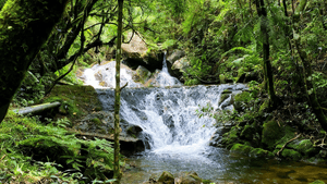 Nos ajude a Preservar as Aguas e Apoie Vida em Comunidade na Serra da Mantiqueira