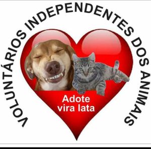 Arrecadação para animais em situação de abandono 