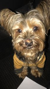 Tratamento oncologico Filipe !