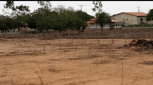 Casa nova casa única