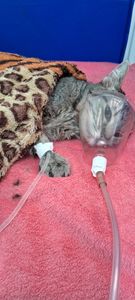 Pagar clinica  parceira 