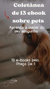 adestramento de cães