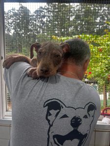 Contas em aberto!! Precisamos muito da sua ajuda <3