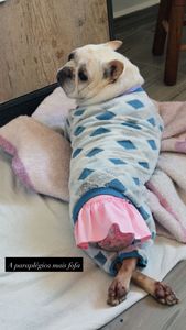 Cadeirinha de Rodas para Brenda