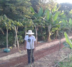 Agroecologia com autonomia energética.
