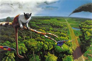 Recuperação , Doação e Alimentação de Animais    