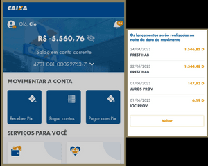 Socorro! Minha casa no leilão não! Vaquinha online