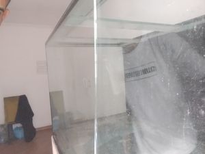 Me ajude a trocar esse vidro e continuar a preservar espécies 