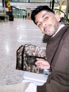 Ajudem-me a encontrar um lar para mim e para o meu gatinho...