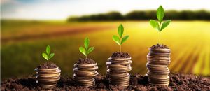 Comprar terreno com urgência. 