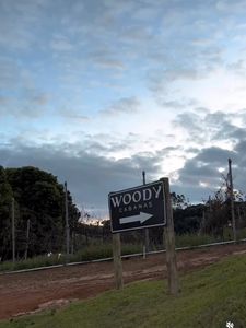 Operação Lua de Mel dos noivos