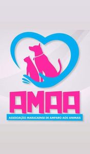Amor e cuidados aos animais 🐶💗