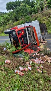 Ajude na campanha na reforma de Tartaruga Ninja