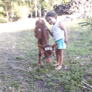 Sonho de ser cantora