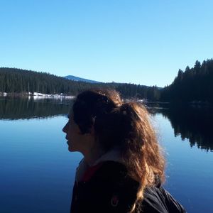 Ajude os gatinhos abandonados da Rua Ourânia