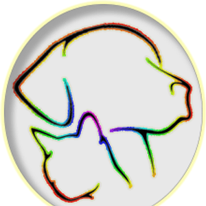 🐾🐾 Unidos por Nossos Peludos: Transformando Amor em Ação 🌟 🐾