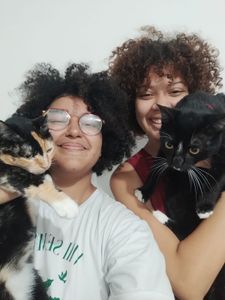 Lar temporário precisa de ajuda!!