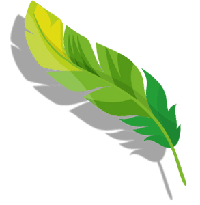 CONGRESSO NACIONALISTA BRASILEIRO