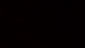 Arrecadação de Alimentos