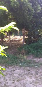 Ajuda meu filho ter uma casinha