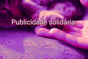 Publicidade Solidária Gatos & Memes 