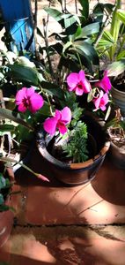 FAZER O BEM NÃO OLHAR A QUEM